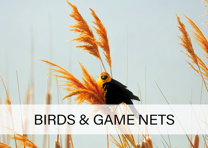 Birds-and-game-nets