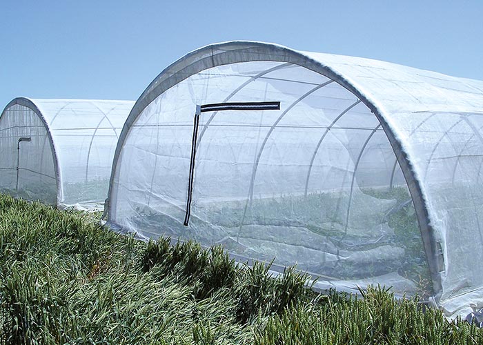 Insect Proof Nets  Diatex Agrotextile