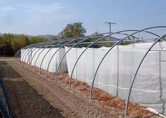 Insect Proof Nets  Diatex Agrotextile