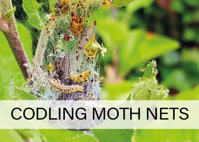 Codling-moth-nets