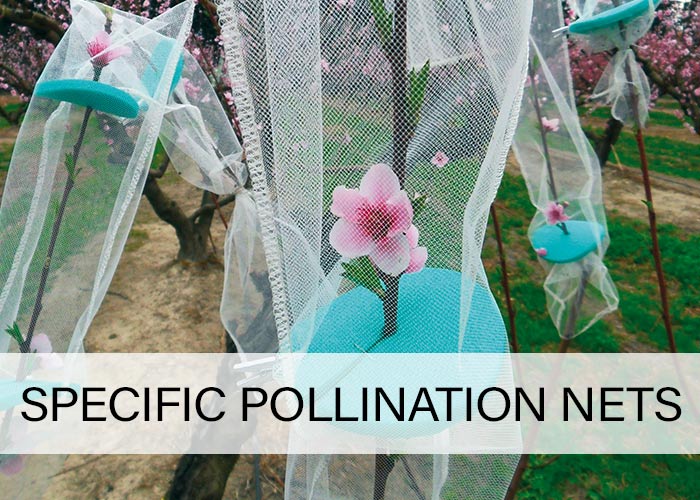 Specific-pollination-nets
