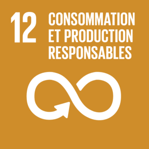 ODD 12 Consommation et production responsables
